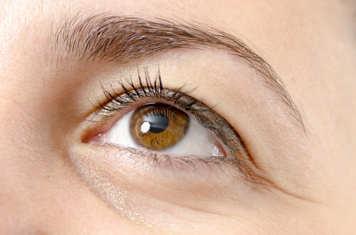 brown eye looking up - Shepherd Eye Center